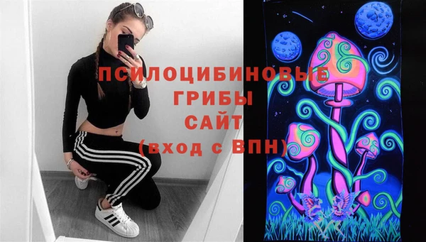 шишки Каменка