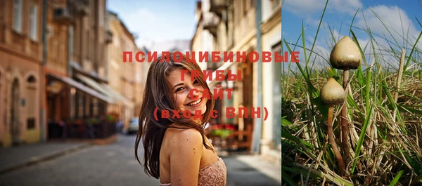 дурь Армянск