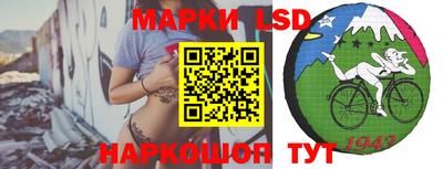 ALPHA-PVP Новозыбков