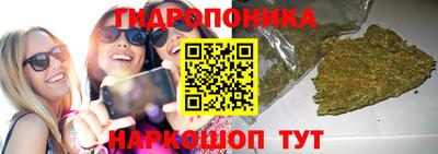 apvp Новокубанск
