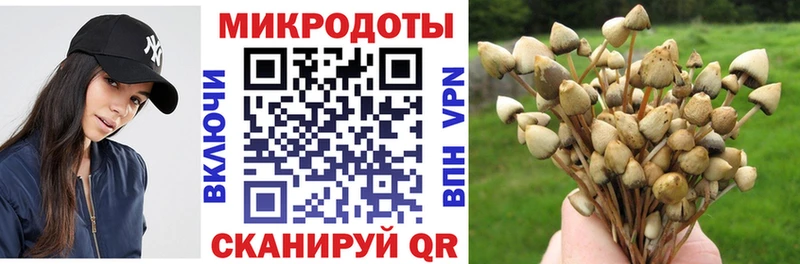 мориарти какой сайт Барабинск Галлюциногенные грибы Psilocybe