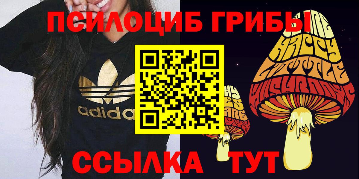 Псилоцибиновые грибы GOLDEN TEACHER Барабинск